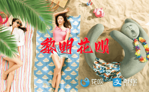 奋不顾身花呗